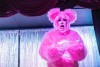 Drag Queens return to the Menagerie to compete in the Clash of All Stars Week Two
