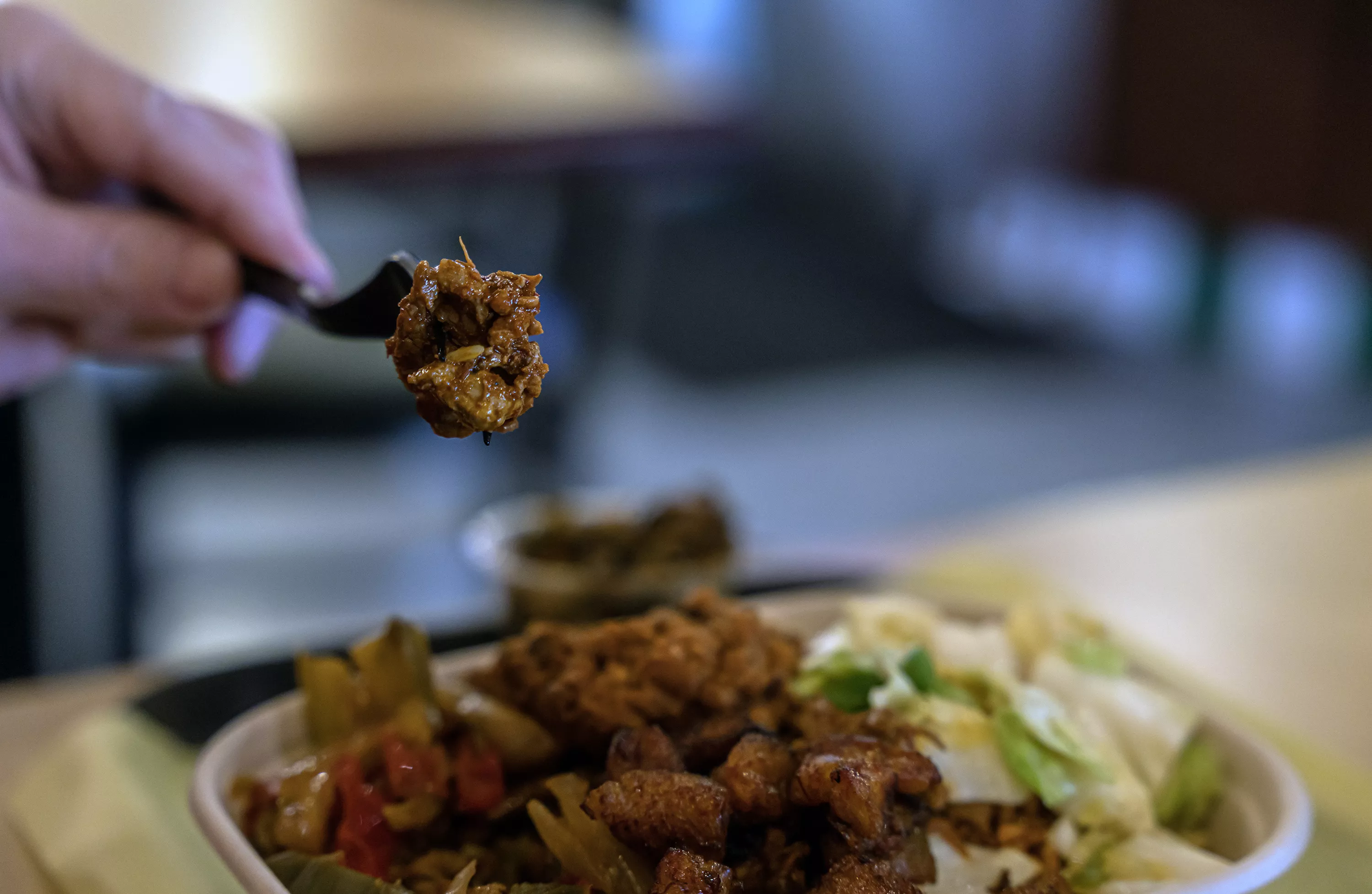 A fork holding a piece of meat above a plate of food